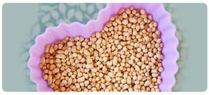 Phosphatidylcholine IV Therapy Near Me in South Surrey BC Phosphatidylcholine IV Therapy Near Me in South Surrey BC